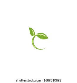 The C-leaf logo is simple and elegant