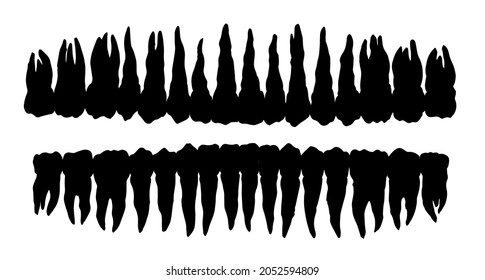 Clean adult oral mouth cuspid layout scheme element light text space backdrop. Outline black hand drawn people treat logo pictogram emblem diagram concept sketch. Retro art graphic line close up view