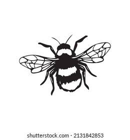 clean art vector bee illustration lineart