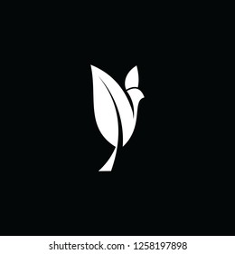 clean bird logo