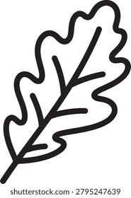 Clean black outline drawing of a single oak leaf with detailed veins, perfect for nature or botanical projects.