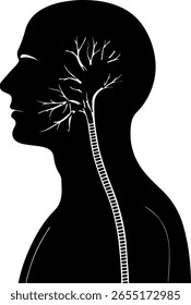 Una silueta negra limpia de un rostro humano, mostrando un perfil minimalista y nuestra vista frontal, aislada sobre un fondo blanco. Este Vector es ideal para transmitir conceptos identitarios y de belleza.