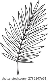 Clean black and white vector drawing of a single palm leaf with detailed veins, perfect for nature or botanical projects.