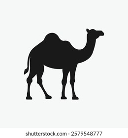 A clean, bold silhouette of a camel, perfect for use in logos, branding, or educational materials.