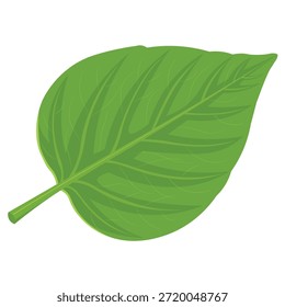 Ilustración vectorial de hojas botánicas limpias en estilo de contorno minimalista. Elemento vegetal natural aislado en blanco, ideal para temas ecológicos, logotipos, iconos de interfaz de usuario, embalaje y educación.
