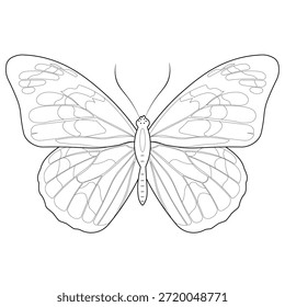 Ilustração limpa do vetor da folha botânica no estilo minimalista do contorno. Elemento de planta natural isolado em branco, ideal para temas ecológicos, logotipos, ícones de IU, embalagem e educação.