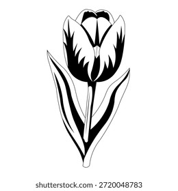 Saubere botanische Blatt-Vektorgrafik in minimalistischem Umrissstil. Natürliches Pflanzenelement einzeln auf Weiß, ideal für Öko-Themen, Logos, UI-Symbole, Verpackungen und Bildung.