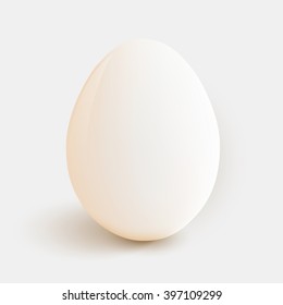 Clean chicken egg isolated on white. Vector illustration