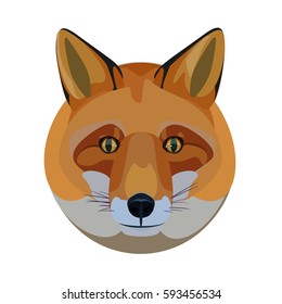 Clean circular fox head with bright eyes large ears & snout slick graphic 
