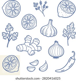 A clean collection of fresh kitchen herbs, aromatic spices, and vegetable ingredients drawn in fine blue outlines. Includes whole and sliced lemons, garlic bulbs and cloves, a whole onion, a fresh ginger root, parsley or cilantro sprigs, rosemary, and a hot chili pepper for healthy cooking.A clean collection of fresh kitchen herbs, aromatic spices, and vegetable ingredients drawn in fine blue outlines. Includes whole and sliced lemons, garlic bulbs and cloves, a whole onion, a fresh ginger root, parsley or cilantro sprigs, rosemary, and a hot chili pepper for healthy cooking.