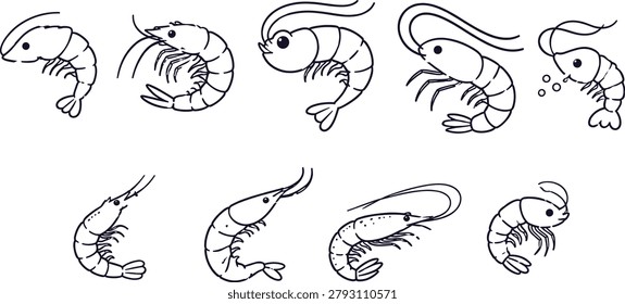 A clean collection of shrimp and prawn outline illustrations featuring various crustacean poses and styles. Ideal for seafood branding, restaurant menus, food packaging, marine education, fishing industry graphics, and aquatic-themed design projects.A clean collection of shrimp and prawn outline illustrations featuring various crustacean poses and styles. Ideal for seafood branding, restaurant menus, food packaging, marine education, fishing industry graphics, and aquatic-themed design projects.