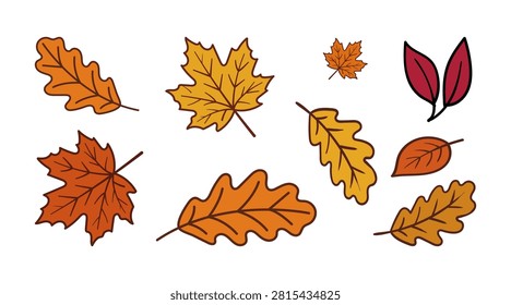 A clean and colorful vector element set featuring a collection of hand-drawn autumn leaves, including maple, oak, and red foliage in warm fall shades. Isolated on a crisp white background, these cozy clip art elements are perfect for Thanksgiving invitations, autumn social media graphics, greeting cards, scrapbooking, sticker packs, and seasonal branding projects.

#AutumnLeaves #FallFoliage #AutumnVector #MapleLeaves #OakLeaves #ThanksgivingClipart #VectorSet #FallVibes #GraphicDesign #SeasonalIllustration