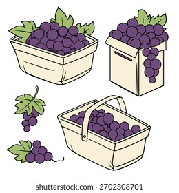 A clean and colorful vector illustration set showing fresh purple grapes inside small market baskets. Ideal for fruit packaging, organic product labels, grocery store branding, farm market promotions.
