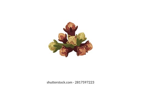 A clean digital illustration depicting a cluster of dried clove buds against a plain white background. The artwork uses warm brown and tan shades to represent the spice's texture, with small green sepals at the base of the buds.