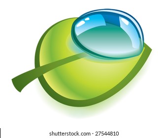 Clean drop on green leaf. Vector