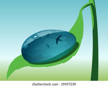 Clean drop on green leaf. Vector