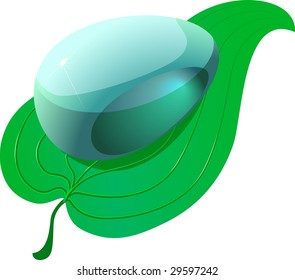 Clean drop on green leaf. Vector