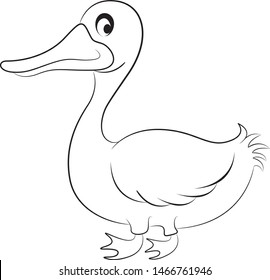 Clean Duck Vector Line Art