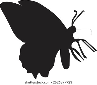 A clean and elegant butterfly shil out vector design, perfect for use in nature-themed projects, tattoos, wall art, fashion prints, and digital illustrations. 