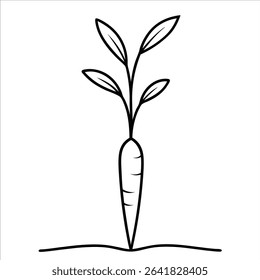 Clean and elegant carrot illustration in continuous line art drawing style combining simplicity and detail great for recipe books or natural food marketing designs
