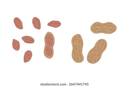 Clean flat design peanut illustrations perfect for nutrition apps, wellness projects, and healthy food branding. Simple, modern graphics ideal for digital and print use.