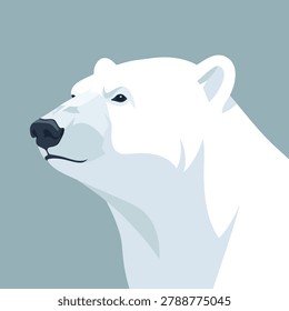 A clean flat vector art style profile view of a white polar bear head against a muted teal background.