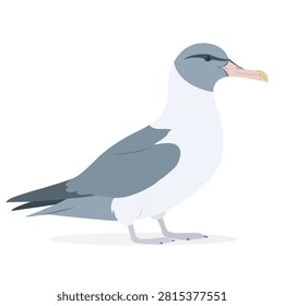 A clean flat vector design of a Cory's Shearwater standing, isolated on a plain background