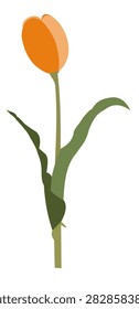 A clean, flat vector illustration of a single orange tulip flower with green leaves and stem, isolated on a transparent background. Perfect for floral designs, spring themes, greeting cards, and minimalist artwork.