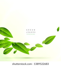 clean flying green leaves background