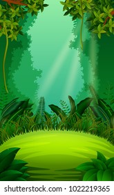 clean and green forest