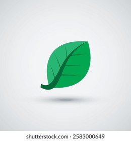 clean green leaf logo design icon template