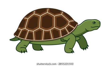 A clean, high-quality flat vector illustration depicting a green turtle or tortoise in a side profile. The animal features a large, domed brown shell with distinct hexagonal scute patterns and tan outlines. It has four sturdy green legs with small black claws, a short tail, and a gentle facial expression. The entire subject is isolated against a solid white background, suitable for educational or design projects.