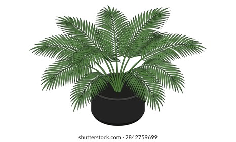 Clean isometric vector graphic showing a green cycad or palm-like plant with feathery leaves in a modern black circular pot, isolated on white.