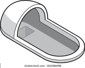 Clean Japanese style flush toilet