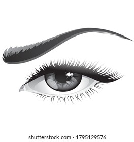 clean lady eye on white background