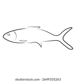 Clean line art of a milkfish silhouette, ideal for seafood packaging, educational materials, marine biology visuals, fishing guides, and culinary-themed vector assets.