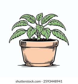 Clean line drawing of potted indoor plant on white. Versatile botanical art suitable for plant care guides, home decor websites, and educational content