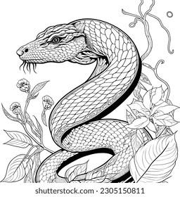 Clean lines doodle design of Cobra snake for adult coloring page for adults 