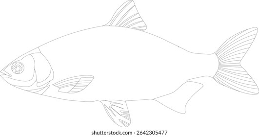 Limpo e mínimo desenho contorno de peixe com linhas suaves e formas simples. Ideal para logotipos, páginas coloridas, atividades infantis, uso educacional e projetos de design aquáticos ou marinhos baseados em vetores.