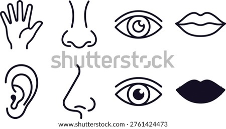 A clean, minimalist collection of icons representing the five human senses: sight, smell, hearing, and touch, rendered in a simple line art style suitable for educational or informational graphics.