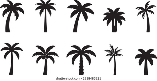 A clean, minimalist vector-style graphic design featuring a collection of ten distinct black silhouette palm tree icons arranged in two horizontal rows against a solid white background. The composition is structured and grid-like, showcasing a variety of palm tree species with varying trunk textures, crown shapes, leaf densities, and heights, each rendered in a stark, flat black color without any gradients, shading, or texture details. The aesthetic is modern, professional, and graphic, reminiscent of flat icon design, focusing on high contrast, clear silhouettes, and simplified geometric forms that emphasize the iconic shape of tropical vegetation, suitable for use as a design asset, infographic element, or sticker set.