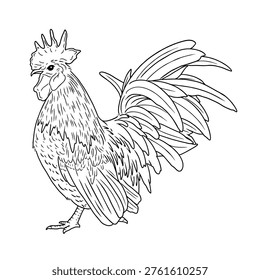 A clean and modern vector illustration of a bantam chicken (ayam kate) in line art style, created with smooth, precise outlines and minimal detailing. This artwork captures the unique charm and compact form of a bantam chicken, highlighting its distinctive feathers, small body proportions, and upright posture through simple yet expressive lines.