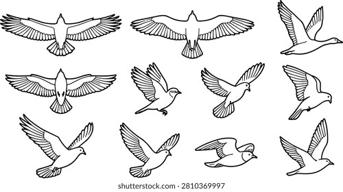 A clean outline vector collection featuring flying birds in multiple poses, including doves, seagulls, songbirds, and waterfowl viewed from different angles. Perfect for wildlife illustrations, logos, educational materials, nature publications, stickers, icons, and commercial design projects.