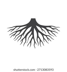 Clean Outward Root Pattern Featuring Sharp Radiating Branch Geometry