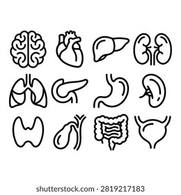 A clean and precise set of twelve human organ icons depicted in minimalist black line art style.