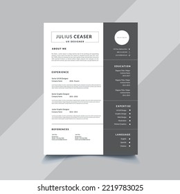 Clean Professional Resume Template for Desinger