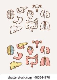 Clean and sharp outline icons about Human Anatomy