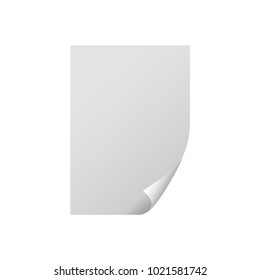 Clean sheet of paper with curl corner. Vector illustration isolated on white background