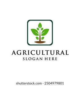 clean and simple agricultural design concept