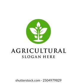 clean and simple agricultural design concept